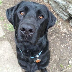 Meet your Posher, Sharon